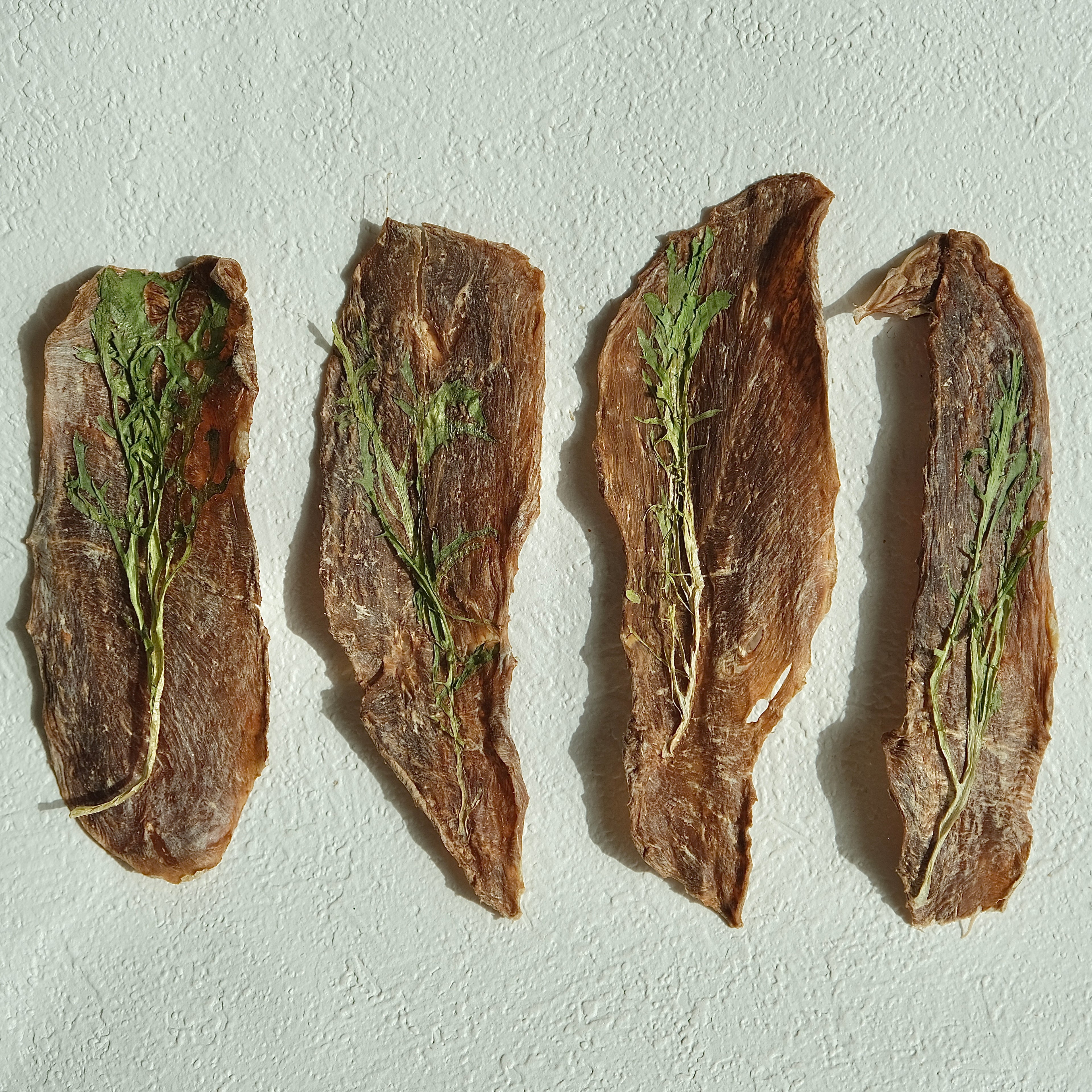 Pure Duck & Endive Jerky — Hypoallergenic Dehydrated Treats for Pets