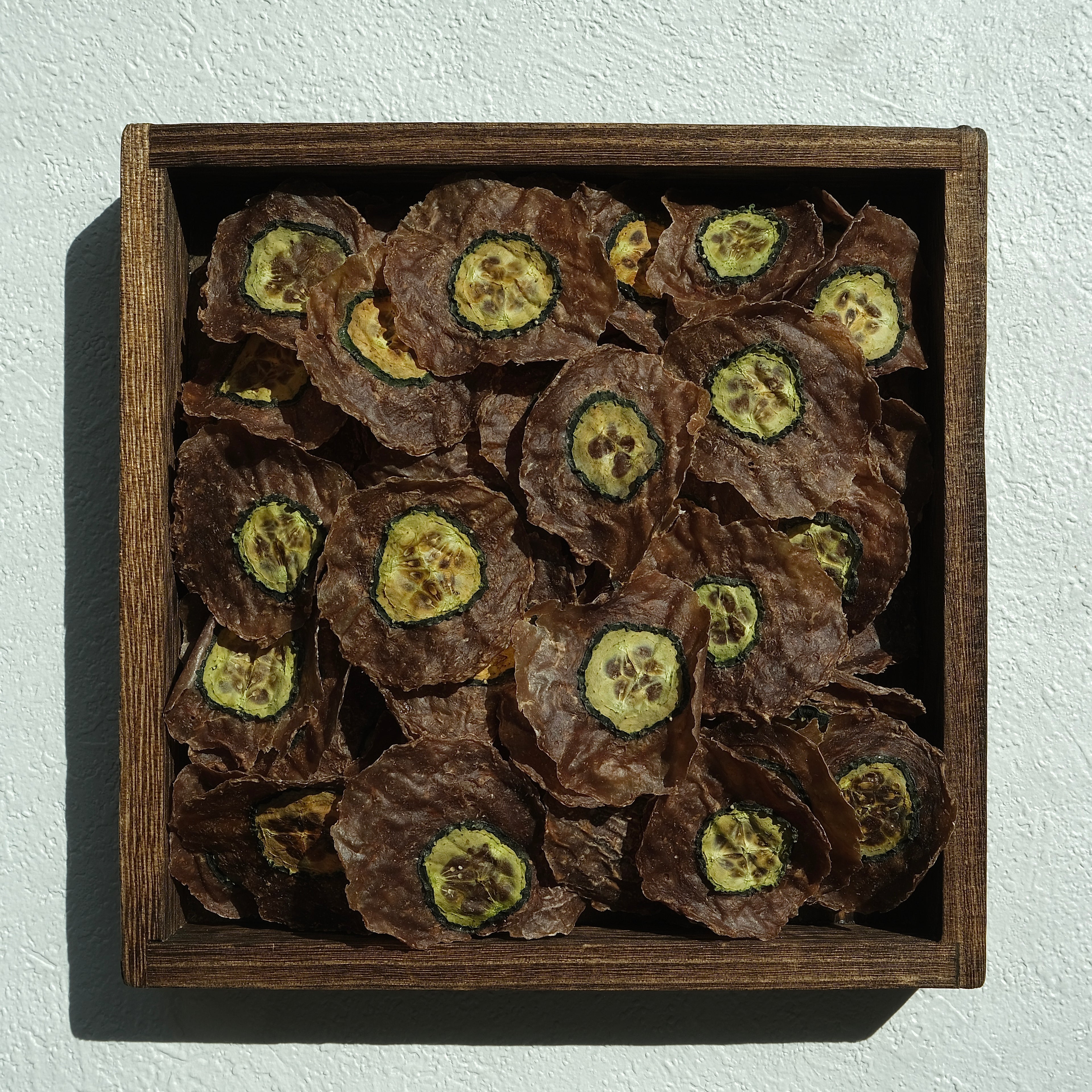 Duck & Cucumber  Chips — 100% Natural Dehydrated Treats for Dogs, Cats & Small Animals